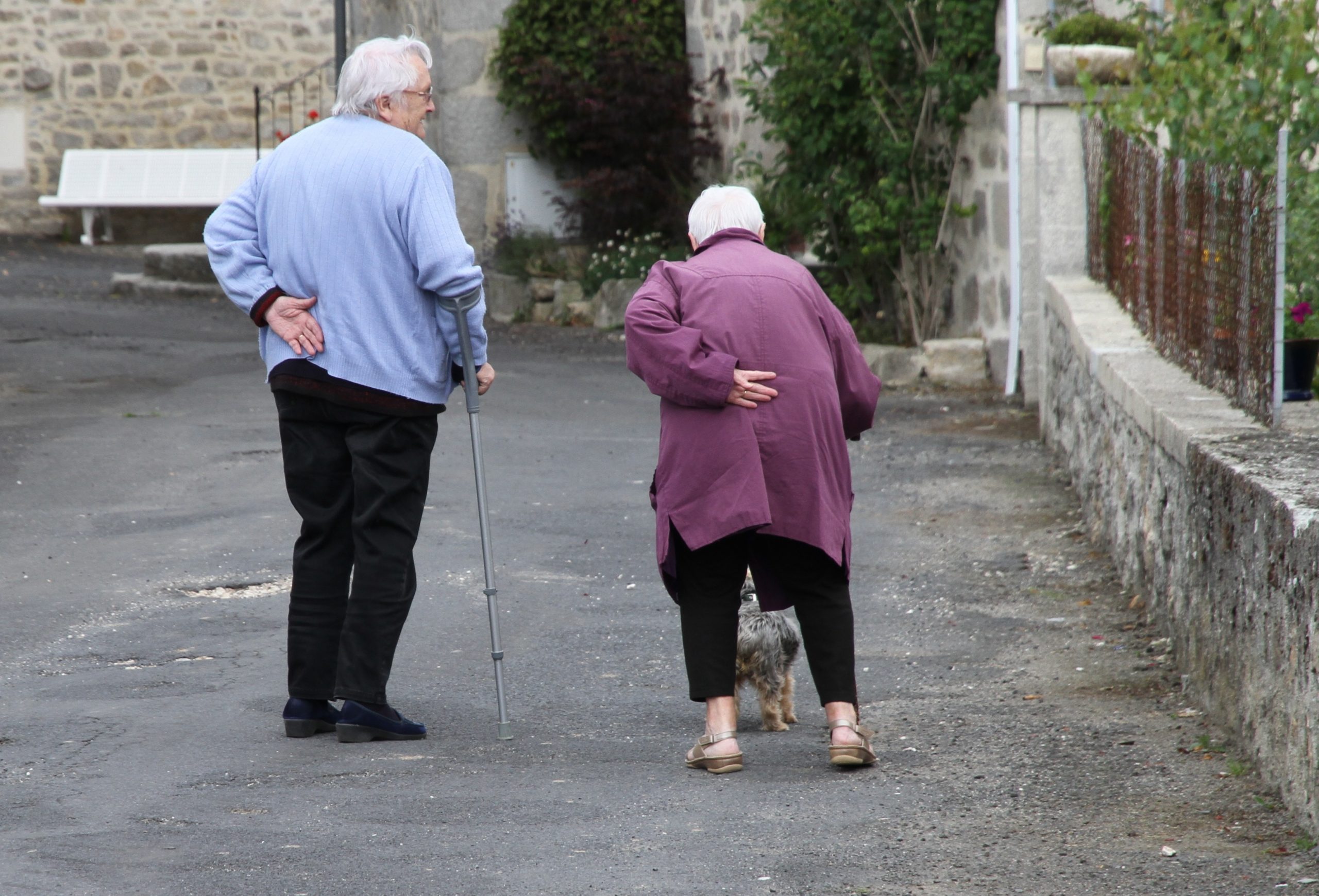 Older People Care (Health and Medical) human,care,character,disease,constant,empathy